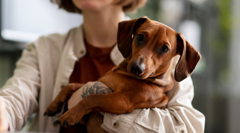 Pet owner holding her dog, showing trust and the benefits of dog ownership